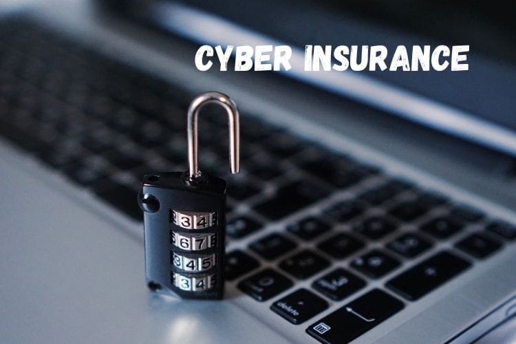 Cyber Insurance Market Growth